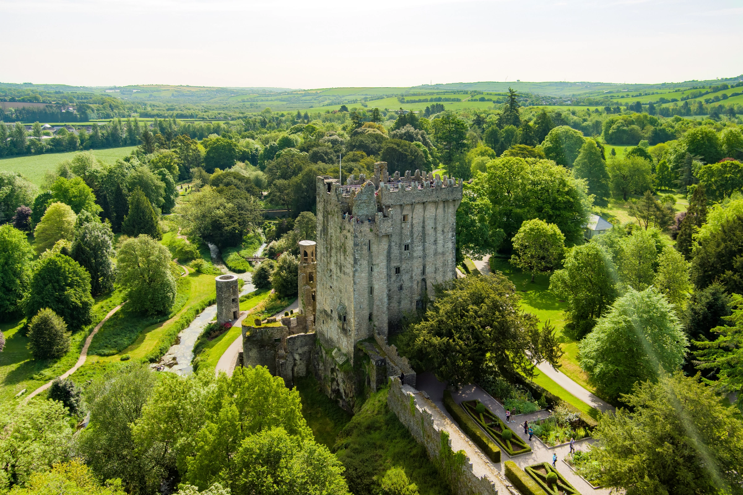 Blarney[1].webp